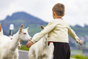 Appenzell, Appenzell Ausserrohden, Appenzeller Hinterland, Autumn, Fall, Herbst, Hundwil, Schweiz, Suisse, Switzerland, Tracht, Viehschau, tradition