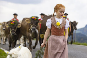 Appenzell, Appenzell Ausserrohden, Appenzeller Hinterland, Autumn, Fall, Herbst, Hundwil, Schweiz, Suisse, Switzerland, Tracht, Viehschau, tradition