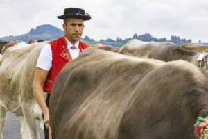 Appenzell, Appenzell Ausserrohden, Appenzeller Hinterland, Autumn, Fall, Herbst, Hundwil, Schweiz, Suisse, Switzerland, Tracht, Viehschau, tradition