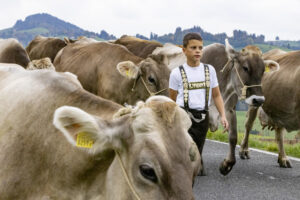 Appenzell, Appenzell Ausserrohden, Appenzeller Hinterland, Autumn, Fall, Herbst, Hundwil, Schweiz, Suisse, Switzerland, Tracht, Viehschau, tradition