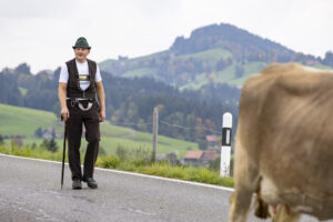 Appenzell, Appenzell Ausserrohden, Appenzeller Hinterland, Autumn, Fall, Herbst, Hundwil, Schweiz, Suisse, Switzerland, Tracht, Viehschau, tradition