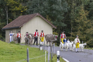 Appenzell, Appenzell Ausserrohden, Appenzeller Hinterland, Autumn, Fall, Herbst, Hundwil, Schweiz, Suisse, Switzerland, Tracht, Viehschau, tradition