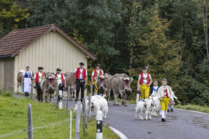 Appenzell, Appenzell Ausserrohden, Appenzeller Hinterland, Autumn, Fall, Herbst, Hundwil, Schweiz, Suisse, Switzerland, Tracht, Viehschau, tradition