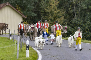 Appenzell, Appenzell Ausserrohden, Appenzeller Hinterland, Autumn, Fall, Herbst, Hundwil, Schweiz, Suisse, Switzerland, Tracht, Viehschau, tradition
