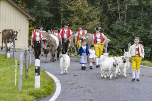 Appenzell, Appenzell Ausserrohden, Appenzeller Hinterland, Autumn, Fall, Herbst, Hundwil, Schweiz, Suisse, Switzerland, Tracht, Viehschau, tradition