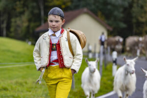 Appenzell, Appenzell Ausserrohden, Appenzeller Hinterland, Autumn, Fall, Herbst, Hundwil, Schweiz, Suisse, Switzerland, Tracht, Viehschau, tradition
