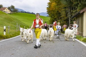 Appenzell, Appenzell Ausserrohden, Appenzeller Hinterland, Autumn, Fall, Herbst, Hundwil, Schweiz, Suisse, Switzerland, Tracht, Viehschau, tradition