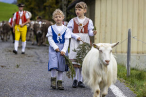 Appenzell, Appenzell Ausserrohden, Appenzeller Hinterland, Autumn, Fall, Herbst, Hundwil, Schweiz, Suisse, Switzerland, Tracht, Viehschau, tradition