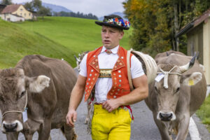 Appenzell, Appenzell Ausserrohden, Appenzeller Hinterland, Autumn, Fall, Herbst, Hundwil, Schweiz, Suisse, Switzerland, Tracht, Viehschau, tradition