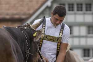Appenzell, Appenzell Ausserrohden, Appenzeller Hinterland, Autumn, Fall, Herbst, Hundwil, Schweiz, Suisse, Switzerland, Tracht, Viehschau, tradition