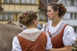 Appenzell, Appenzell Ausserrohden, Appenzeller Hinterland, Autumn, Fall, Herbst, Hundwil, Schweiz, Suisse, Switzerland, Tracht, Viehschau, tradition