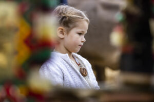 Appenzell, Appenzell Ausserrohden, Appenzeller Hinterland, Autumn, Fall, Herbst, Hundwil, Schweiz, Suisse, Switzerland, Tracht, Viehschau, tradition