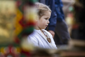 Appenzell, Appenzell Ausserrohden, Appenzeller Hinterland, Autumn, Fall, Herbst, Hundwil, Schweiz, Suisse, Switzerland, Tracht, Viehschau, tradition