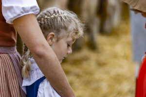 Appenzell, Appenzell Ausserrohden, Appenzeller Hinterland, Autumn, Fall, Herbst, Hundwil, Schweiz, Suisse, Switzerland, Tracht, Viehschau, tradition
