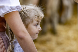 Appenzell, Appenzell Ausserrohden, Appenzeller Hinterland, Autumn, Fall, Herbst, Hundwil, Schweiz, Suisse, Switzerland, Tracht, Viehschau, tradition