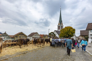 Appenzell, Appenzell Ausserrohden, Appenzeller Hinterland, Autumn, Fall, Herbst, Hundwil, Schweiz, Suisse, Switzerland, Tracht, Viehschau, tradition