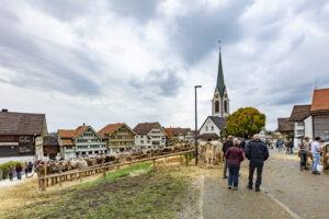 Appenzell, Appenzell Ausserrohden, Appenzeller Hinterland, Autumn, Fall, Herbst, Hundwil, Schweiz, Suisse, Switzerland, Tracht, Viehschau, tradition
