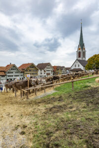 Appenzell, Appenzell Ausserrohden, Appenzeller Hinterland, Autumn, Fall, Herbst, Hundwil, Schweiz, Suisse, Switzerland, Tracht, Viehschau, tradition