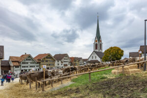 Appenzell, Appenzell Ausserrohden, Appenzeller Hinterland, Autumn, Fall, Herbst, Hundwil, Schweiz, Suisse, Switzerland, Tracht, Viehschau, tradition