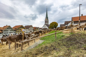 Appenzell, Appenzell Ausserrohden, Appenzeller Hinterland, Autumn, Fall, Herbst, Hundwil, Schweiz, Suisse, Switzerland, Tracht, Viehschau, tradition