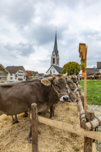 Appenzell, Appenzell Ausserrohden, Appenzeller Hinterland, Autumn, Fall, Herbst, Hundwil, Schweiz, Suisse, Switzerland, Tracht, Viehschau, tradition