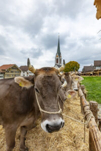 Appenzell, Appenzell Ausserrohden, Appenzeller Hinterland, Autumn, Fall, Herbst, Hundwil, Schweiz, Suisse, Switzerland, Tracht, Viehschau, tradition
