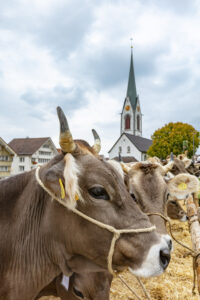 Appenzell, Appenzell Ausserrohden, Appenzeller Hinterland, Autumn, Fall, Herbst, Hundwil, Schweiz, Suisse, Switzerland, Tracht, Viehschau, tradition