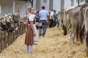 Appenzell, Appenzell Ausserrohden, Appenzeller Hinterland, Autumn, Fall, Herbst, Hundwil, Schweiz, Suisse, Switzerland, Tracht, Viehschau, tradition