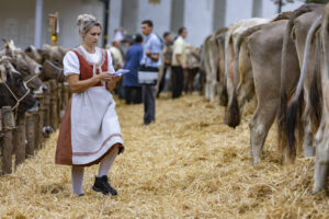 Appenzell, Appenzell Ausserrohden, Appenzeller Hinterland, Autumn, Fall, Herbst, Hundwil, Schweiz, Suisse, Switzerland, Tracht, Viehschau, tradition