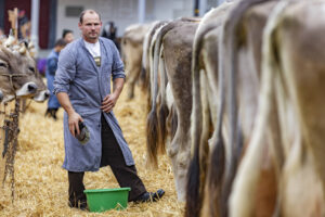 Appenzell, Appenzell Ausserrohden, Appenzeller Hinterland, Autumn, Fall, Herbst, Hundwil, Schweiz, Suisse, Switzerland, Tracht, Viehschau, tradition