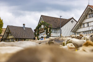 Appenzell, Appenzell Ausserrohden, Appenzeller Hinterland, Autumn, Fall, Herbst, Hundwil, Schweiz, Suisse, Switzerland, Tracht, Viehschau, tradition