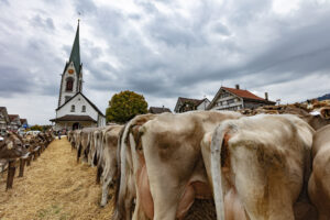 Appenzell, Appenzell Ausserrohden, Appenzeller Hinterland, Autumn, Fall, Herbst, Hundwil, Schweiz, Suisse, Switzerland, Tracht, Viehschau, tradition