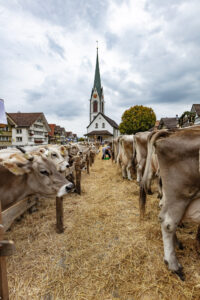 Appenzell, Appenzell Ausserrohden, Appenzeller Hinterland, Autumn, Fall, Herbst, Hundwil, Schweiz, Suisse, Switzerland, Tracht, Viehschau, tradition