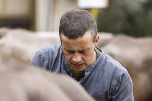 Appenzell, Appenzell Ausserrohden, Appenzeller Hinterland, Autumn, Fall, Herbst, Hundwil, Schweiz, Suisse, Switzerland, Tracht, Viehschau, tradition