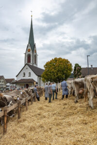 Appenzell, Appenzell Ausserrohden, Appenzeller Hinterland, Autumn, Fall, Herbst, Hundwil, Schweiz, Suisse, Switzerland, Tracht, Viehschau, tradition