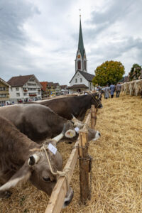 Appenzell, Appenzell Ausserrohden, Appenzeller Hinterland, Autumn, Fall, Herbst, Hundwil, Schweiz, Suisse, Switzerland, Tracht, Viehschau, tradition