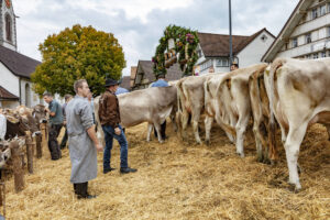 Appenzell, Appenzell Ausserrohden, Appenzeller Hinterland, Autumn, Fall, Herbst, Hundwil, Schweiz, Suisse, Switzerland, Tracht, Viehschau, tradition