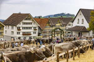 Appenzell, Appenzell Ausserrohden, Appenzeller Hinterland, Autumn, Fall, Herbst, Hundwil, Schweiz, Suisse, Switzerland, Tracht, Viehschau, tradition