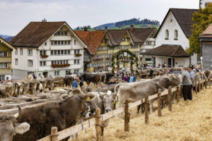 Appenzell, Appenzell Ausserrohden, Appenzeller Hinterland, Autumn, Fall, Herbst, Hundwil, Schweiz, Suisse, Switzerland, Tracht, Viehschau, tradition