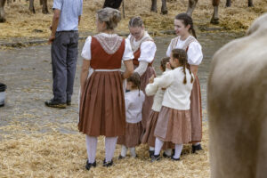Appenzell, Appenzell Ausserrohden, Appenzeller Hinterland, Autumn, Fall, Herbst, Hundwil, Schweiz, Suisse, Switzerland, Tracht, Viehschau, tradition