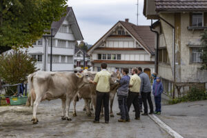 Appenzell, Appenzell Ausserrohden, Appenzeller Hinterland, Autumn, Fall, Herbst, Hundwil, Schweiz, Suisse, Switzerland, Tracht, Viehschau, tradition