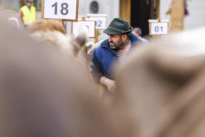 Appenzell, Appenzell Ausserrohden, Appenzeller Hinterland, Autumn, Fall, Herbst, Hundwil, Schweiz, Suisse, Switzerland, Tracht, Viehschau, tradition