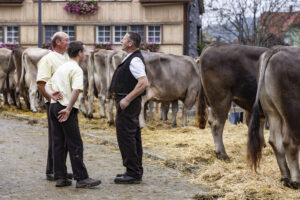 Appenzell, Appenzell Ausserrohden, Appenzeller Hinterland, Autumn, Fall, Herbst, Hundwil, Schweiz, Suisse, Switzerland, Tracht, Viehschau, tradition