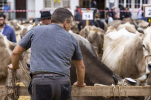 Appenzell, Appenzell Ausserrohden, Appenzeller Hinterland, Autumn, Fall, Herbst, Hundwil, Schweiz, Suisse, Switzerland, Tracht, Viehschau, tradition
