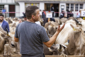 Appenzell, Appenzell Ausserrohden, Appenzeller Hinterland, Autumn, Fall, Herbst, Hundwil, Schweiz, Suisse, Switzerland, Tracht, Viehschau, tradition