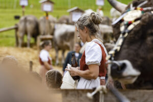 Appenzell, Appenzell Ausserrohden, Appenzeller Hinterland, Autumn, Fall, Herbst, Hundwil, Schweiz, Suisse, Switzerland, Tracht, Viehschau, tradition