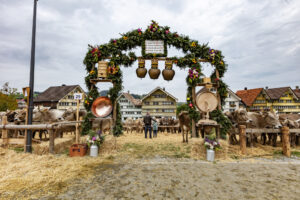 Appenzell, Appenzell Ausserrohden, Appenzeller Hinterland, Autumn, Fall, Herbst, Hundwil, Schweiz, Suisse, Switzerland, Tracht, Viehschau, tradition