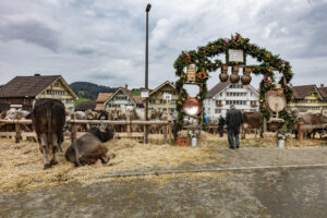 Appenzell, Appenzell Ausserrohden, Appenzeller Hinterland, Autumn, Fall, Herbst, Hundwil, Schweiz, Suisse, Switzerland, Tracht, Viehschau, tradition