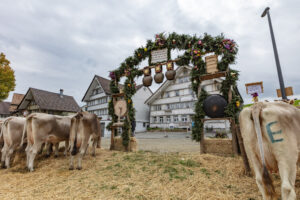 Appenzell, Appenzell Ausserrohden, Appenzeller Hinterland, Autumn, Fall, Herbst, Hundwil, Schweiz, Suisse, Switzerland, Tracht, Viehschau, tradition