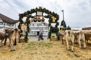 Appenzell, Appenzell Ausserrohden, Appenzeller Hinterland, Autumn, Fall, Herbst, Hundwil, Schweiz, Suisse, Switzerland, Tracht, Viehschau, tradition